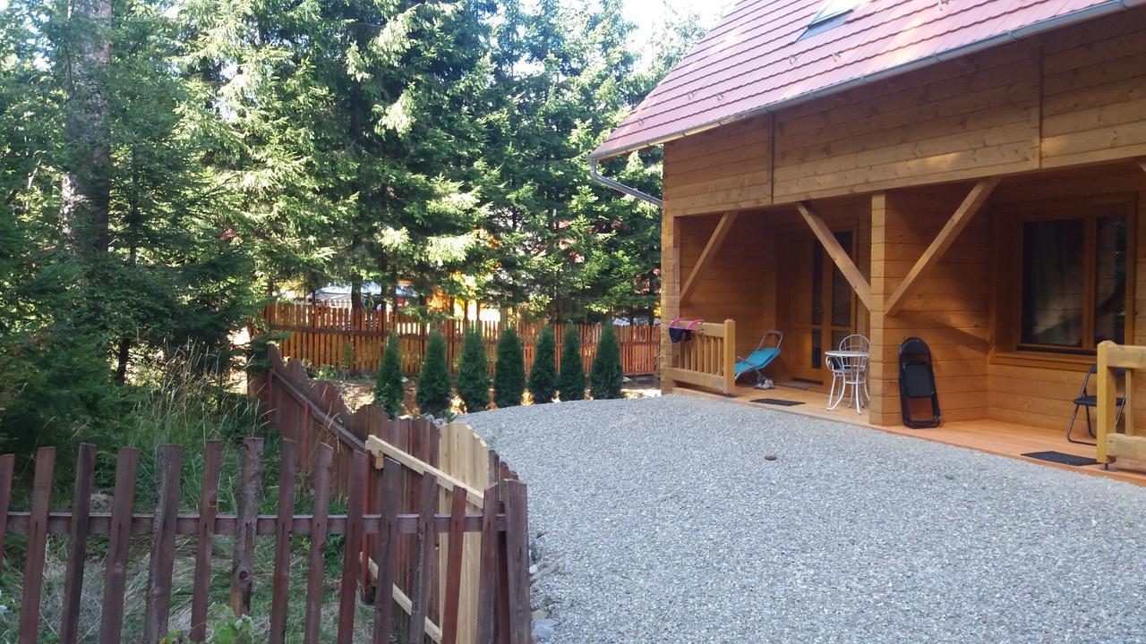 Sîntimbru-Băi Mofetta Panzio Bed & Breakfast エクステリア 写真