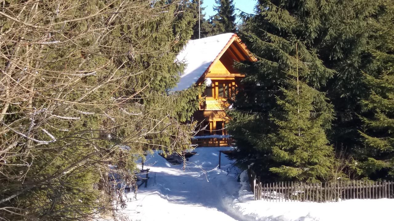 Sîntimbru-Băi Mofetta Panzio Bed & Breakfast エクステリア 写真