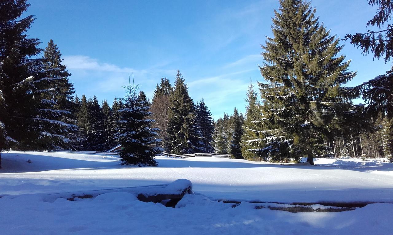 Sîntimbru-Băi Mofetta Panzio Bed & Breakfast エクステリア 写真
