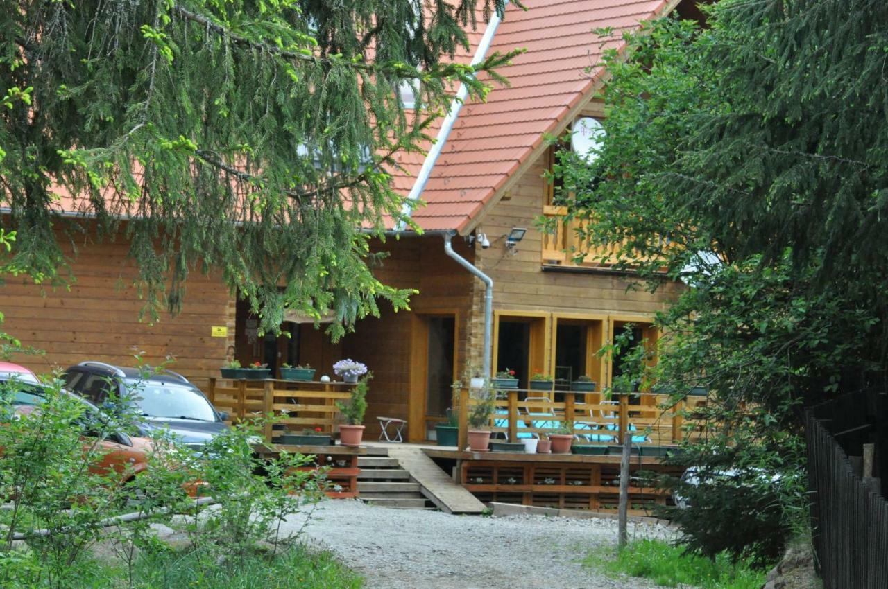 Sîntimbru-Băi Mofetta Panzio Bed & Breakfast エクステリア 写真